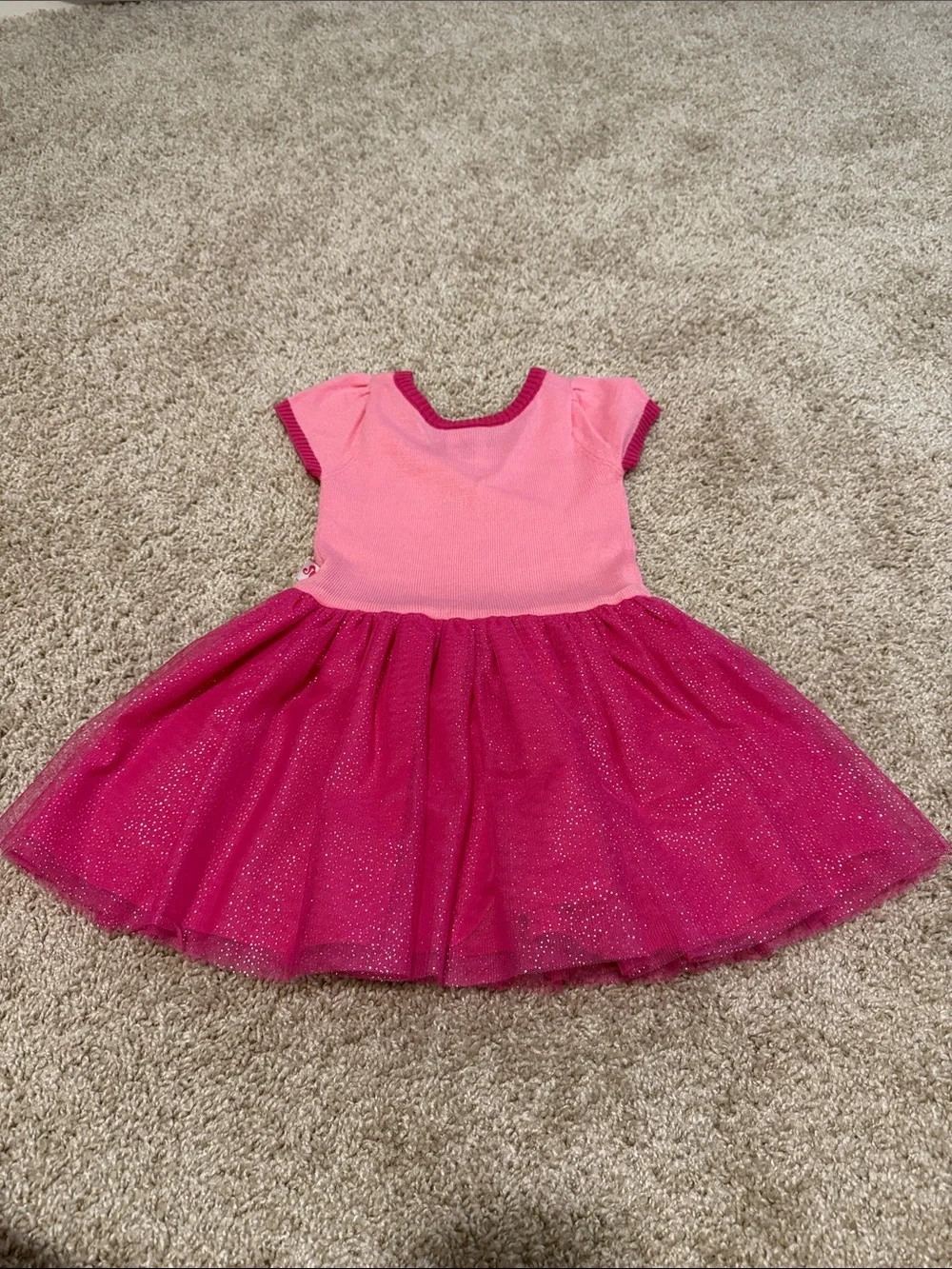 Barbie Pink and Fuchsia Sparkle Tulle Dress
